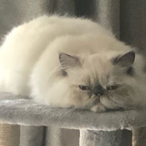 Meet your Posher, Kasey